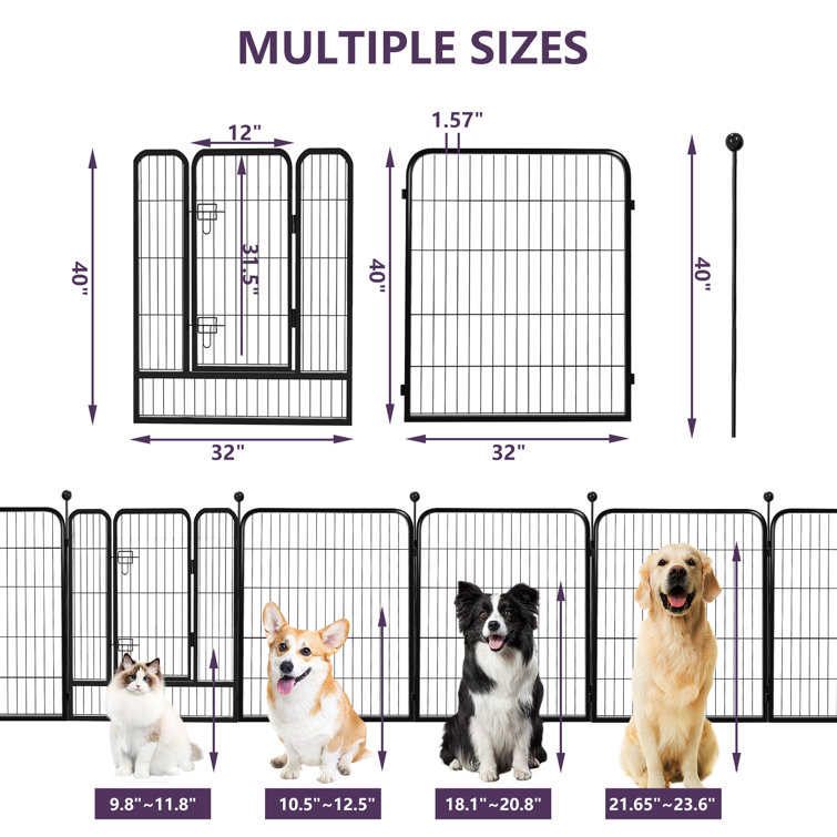 Dog pen size sale